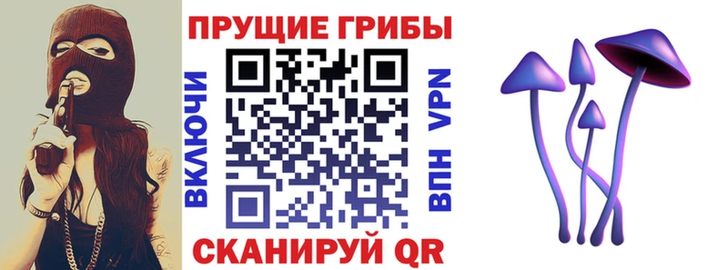 Псилоцибиновые грибы мухоморы  МЕГА рабочий сайт  Белинский  даркнет сайт 